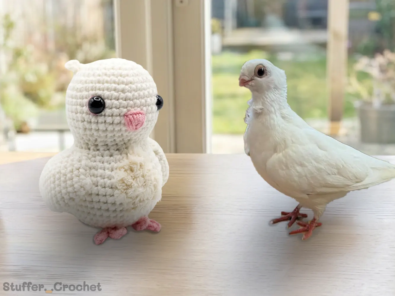 Custom crochet dove plushie